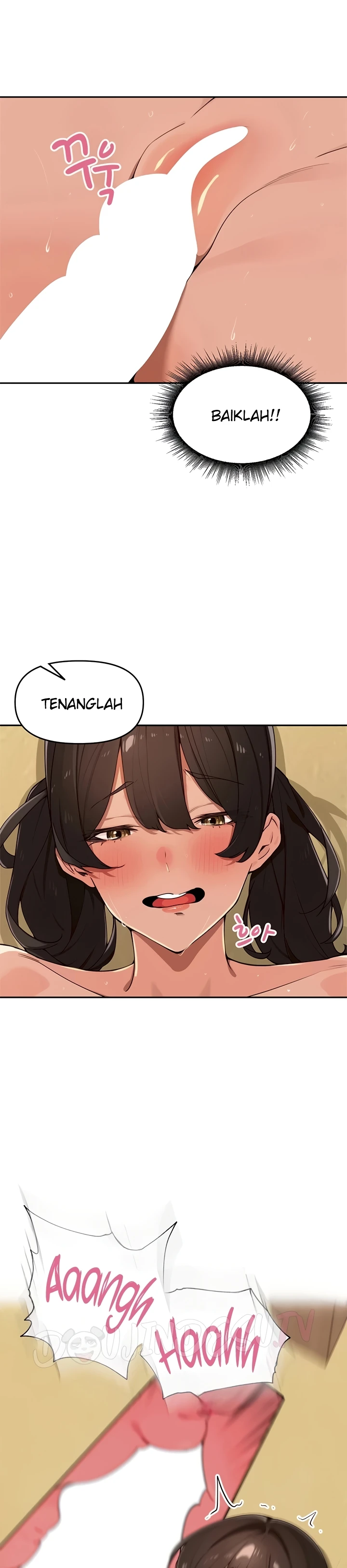 Village Special Ordinance - Page 24